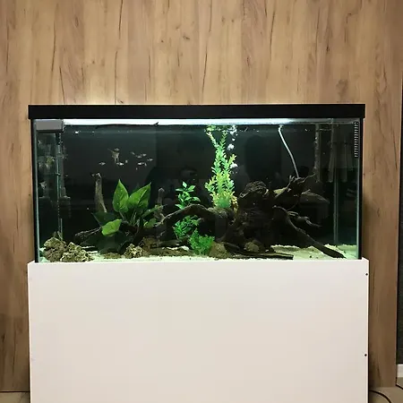 Pansion Lenas شقة